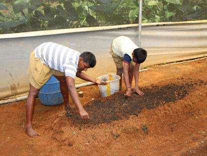 Krishi (Agriculture)
