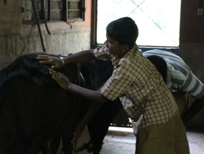 Krishi (Agriculture)