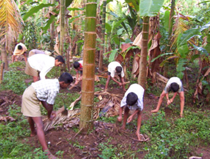 Krishi (Agriculture)