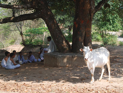VEDAS represent the pinnacle of Sanskrit literary merit